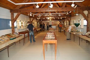 Museum d'histoires naturelles